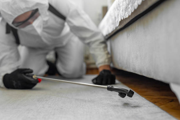 Professional Bed Bug Control technician working in Indian Hills, TX