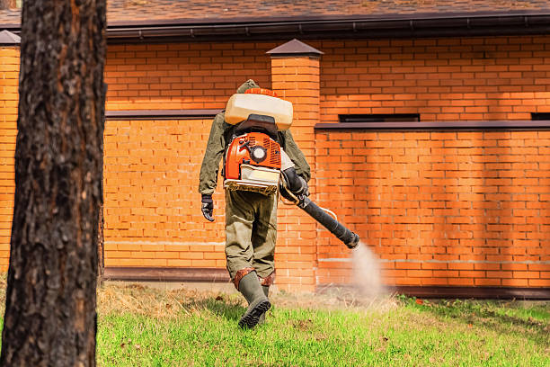 Trusted Ant Control service in Indian Hills, TX - Nex Pest Control